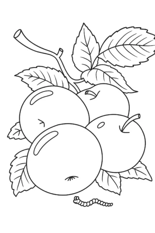 Розмальовки для дітей 2-3 років — Яблука на гілці скачати та роздрукувати в форматі А4