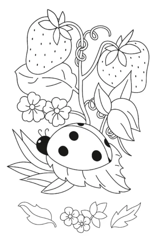 Розмальовки для дітей 10 + років: Сонечко серед полуниць — скачати та роздрукувати в форматі А4