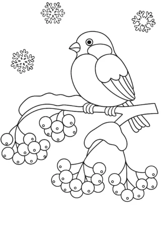Розмальовки для дітей 10 + років: Пташка взимку на гілці горобини — скачати та роздрукувати в форматі А