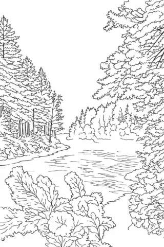 Розмальовки для дорослих — Пейзаж лісу з річкою скачати та роздрукувати в форматі А4