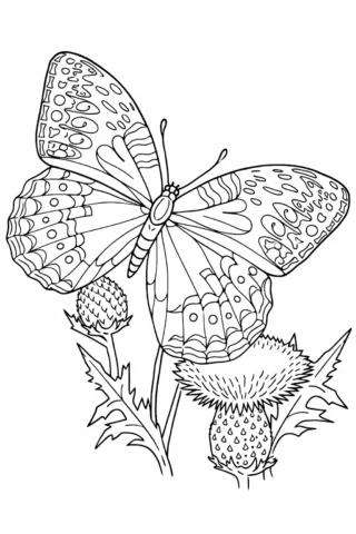 Розмальовки тварин — Метелик на будяку скачати та роздрукувати в форматі А4
