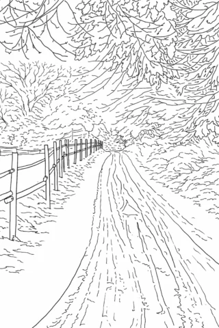 Розмальовки для дорослих — Зимова дорога через ліс скачати та роздрукувати в форматі А4