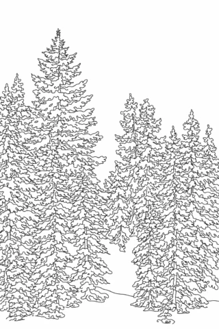 Розмальовки для дорослих — Засніжений ялинковий ліс скачати та роздрукувати в форматі А4