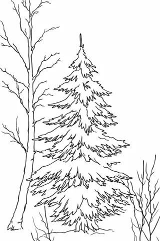 Розмальовки для дівчат — Зимова ялинка в лісі скачати та роздрукувати в форматі А4