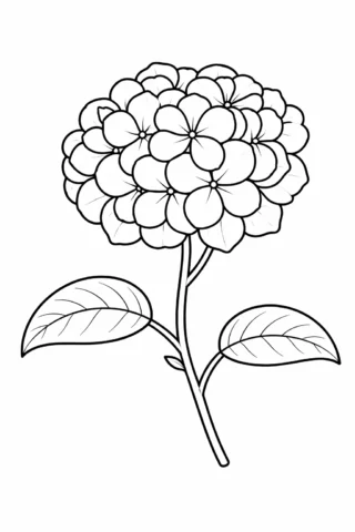 Розвиваючі розмальовки — Квітка гортензії скачати та роздрукувати в форматі А4