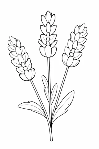 Розвиваючі розмальовки — Лаванда скачати та роздрукувати в форматі А4