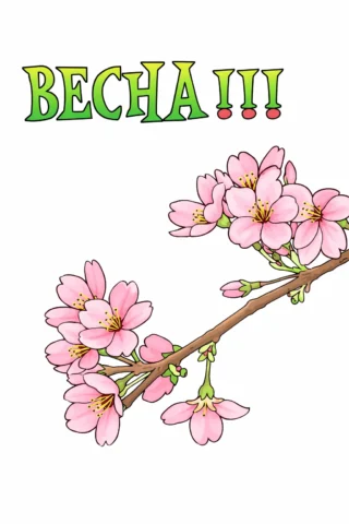 Малюнок пори року: Весна та квітуча гілка сакури скачати та роздрукувати в форматі А4