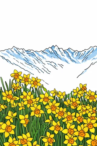 Малюнок пори року: Весняні нарциси в горах скачати та роздрукувати в форматі А4