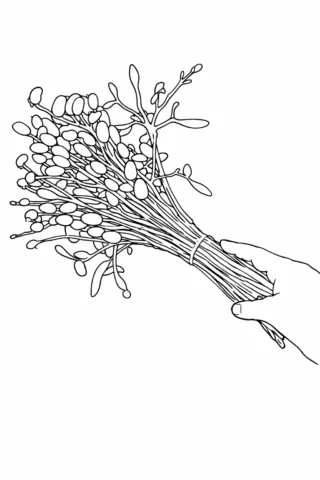 Розмальовки до свят: букет верби до Вербної неділі в руках скачати та роздрукувати в форматі А4