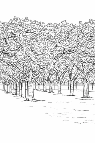 Розмальовки пори року: Весняна алея сакури у цвіті скачати та роздрукувати в форматі А4