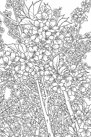 Розмальовки пори року: Квітучі весняні дерева та розмаїття квітів скачати та роздрукувати в форматі А4