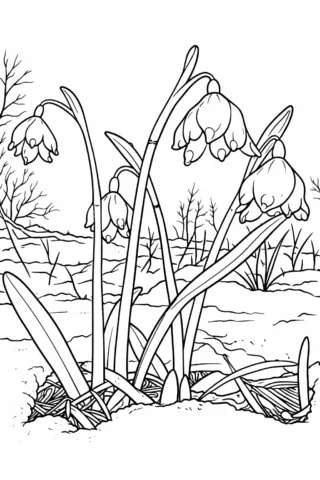 Розмальовки пори року: Проліски — перші квіти весни скачати та роздрукувати в форматі А4