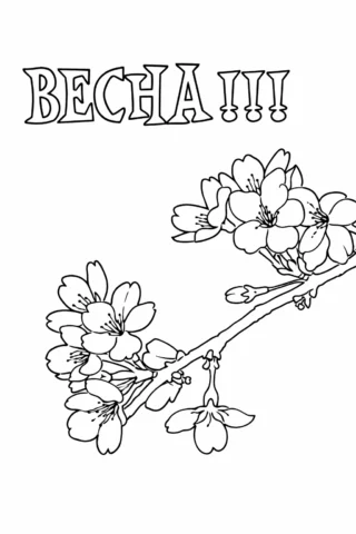 Розмальовки пори року: Весна та квітуча гілка сакури скачати та роздрукувати в форматі А4
