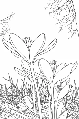 Розмальовки пори року: Весняне пробудження первоцвітів скачати та роздрукувати в форматі А4