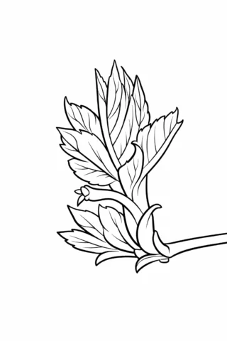 Розмальовки пори року: Зелена весняна брунька скачати та роздрукувати в форматі А4