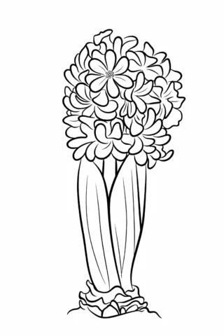 Розмальовка «Квітучий гіацинт у горщику»
