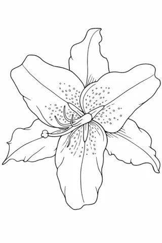 Розмальовка «Квітка лілії з деталізованими пелюстками» скачати та роздрукувати в форматі А4
