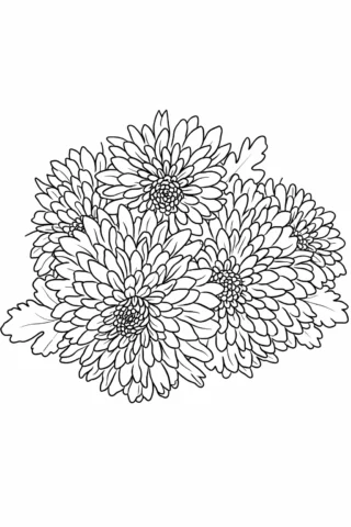 Розмальовки до свят: пишні хризантеми святкова композиція скачати та роздрукувати в форматі А4