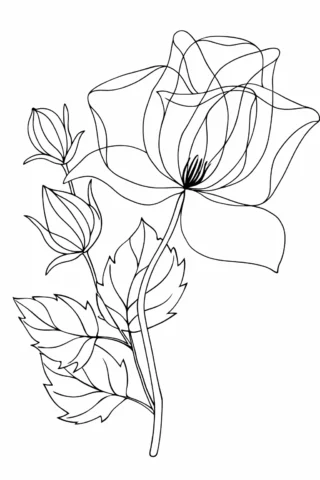 Розмальовки до свят: ніжна троянда з бутоном скачати та роздрукувати в форматі А4