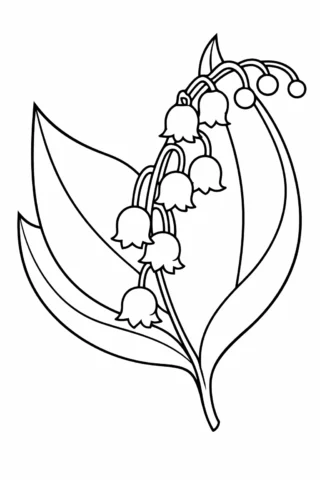 Розмальовка «Ніжна конвалія з листям» скачати та роздрукувати в форматі А4
