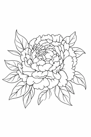 Розмальовка «Велика півонія з листям» скачати та роздрукувати в форматі А4