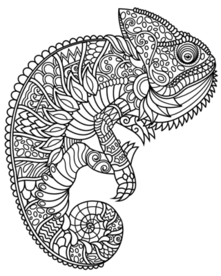 Розмальовка «Візерунчастий хамелеон» скачати та роздрукувати в форматі А4