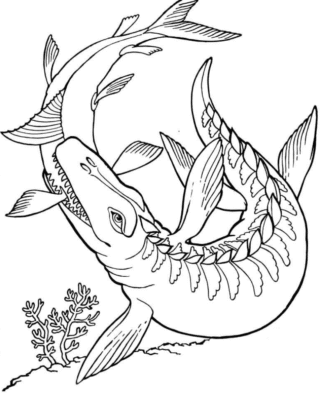 Розмальовка «Мозазавр на полюванні» скачати та роздрукувати в форматі А4