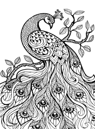 Розмальовка «Вишуканий павич на гілці» скачати та роздрукувати в форматі А4