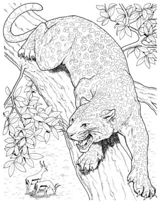 Розмальовка «Леопард на полюванні в дикій природі» скачати та роздрукувати в форматі А4