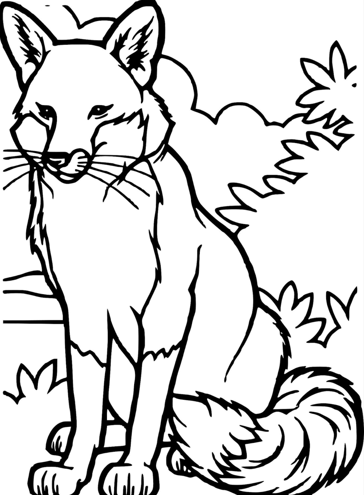 Розмальовка «Хитра лисиця в осінньому лісі» скачати та роздрукувати в форматі А4