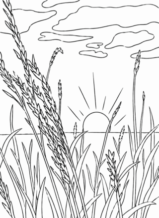 Розмальовка «Захід сонця над польовими травами» скачати та роздрукувати в форматі А4