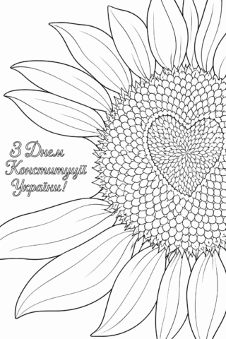 Розмальовка Соняшник до Дня Конституції України скачати та роздрукувати в форматі А4